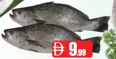 Black Kora Fresh Fish