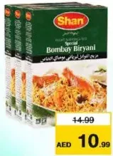 Shan بهارات برياني