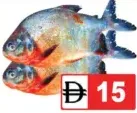 Red Pomfret (Avoli)