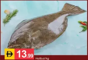 سمك الهلبوت