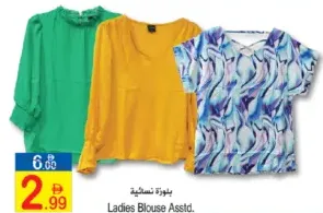 Ladies Blouse Assorted