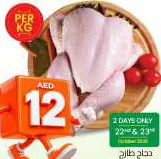 Fresh Chicken