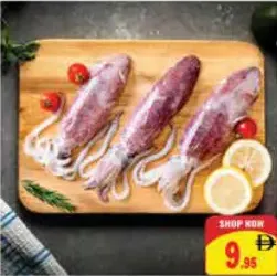 حبار طازج