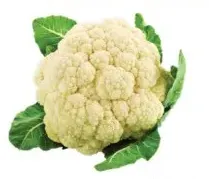 زهرة