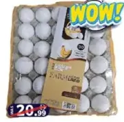 Farmland بيض أبيض حجم وسط الفضيل