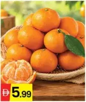 Baby Mandarin Nadorcott