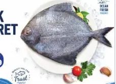 Black Pomfret