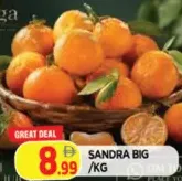 Sandra Big