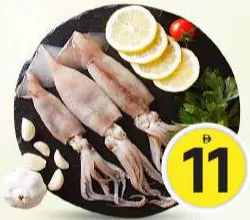 Squid Large