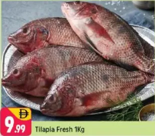 Tilapia Fresh