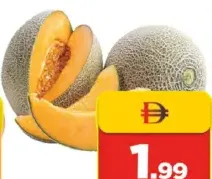 Rockmelon