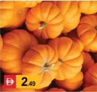 Pumkin Red Mathan