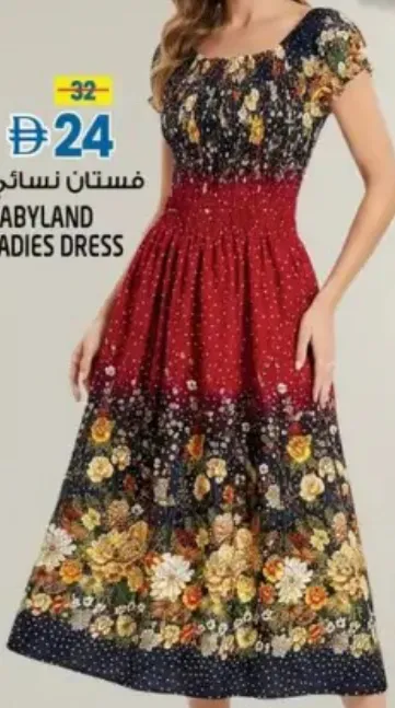 Babyland Ladies Dress
