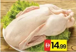 Duck