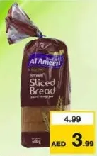 AL Ameen Brown Bread Slice