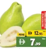 Guava Egypt