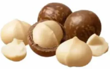 Macadamia Nuts