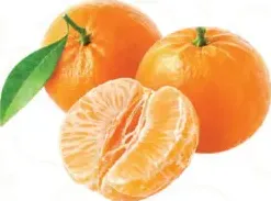 Orange Sandra Mandarin