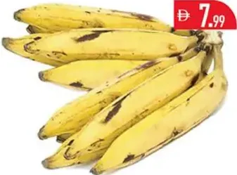 موز هندي أصفر/كجم