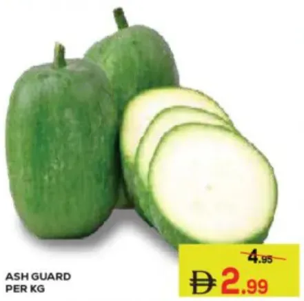 Ash Guard