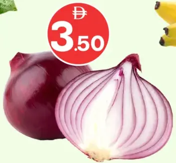 Onion Egypt