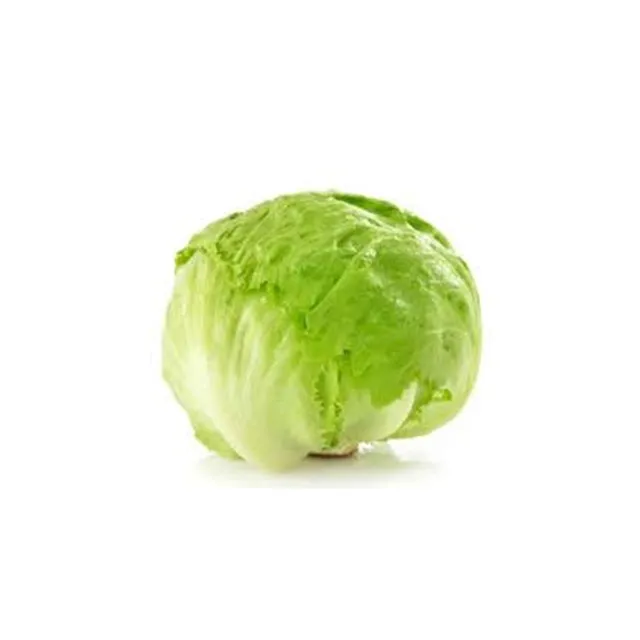 Lettuce Iceberg - Oman