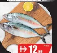 Mackerel Fish - Big