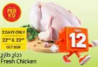 دجاج طازج