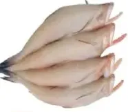 BACKET LOTIA