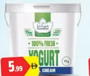 Hayatna Yoghurt Full Fat