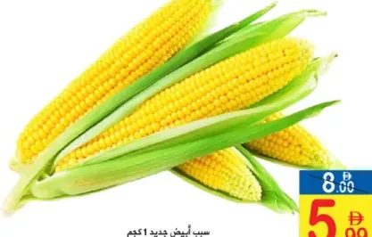 Fresh Sweet Corn
