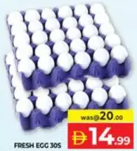 Fresh Egg