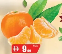 Orange Sandra Africa