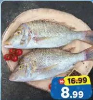 Sherry Fish Small