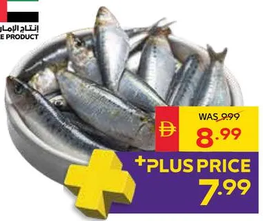 Fresh Sardine