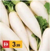 Radish White (Mooli)