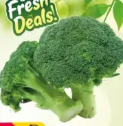 Broccoli