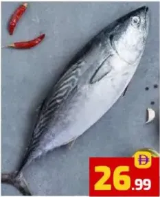 سمك تونة كبير