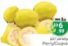 Perri/Guava Egypt