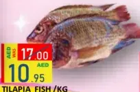 سمك بلطي