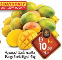مانجو شيلا المصرية