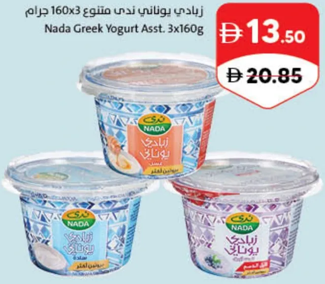 Nada Greek Yoghurt Assorted