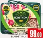 Homey Cool بطانية 1 طبقة