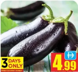 Egg Plant Big
