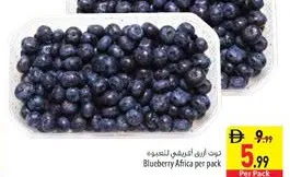 Blueberry Africa