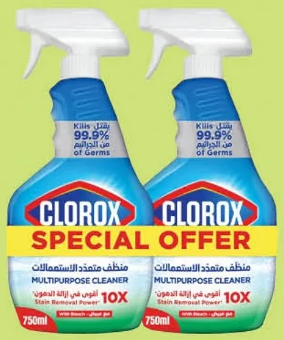 Clorox Multipurpose Cleaner