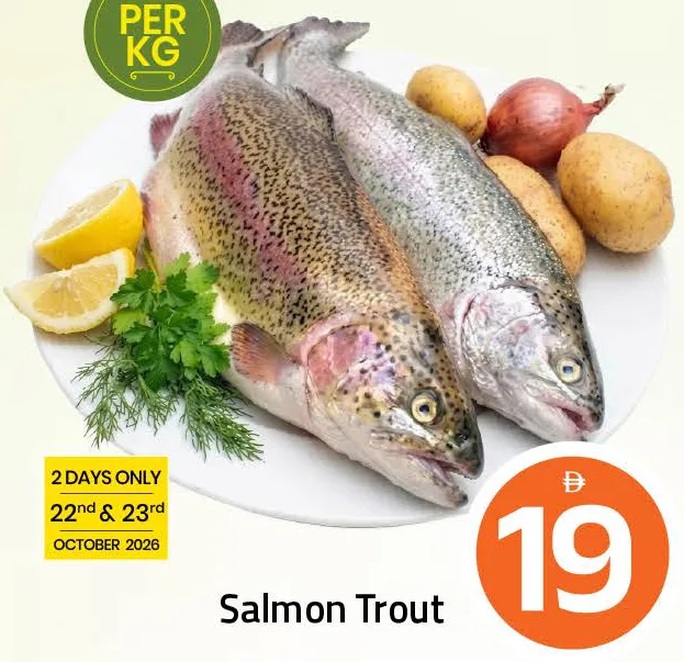 Salmon Trout