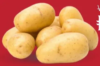 Potato (GCC)
