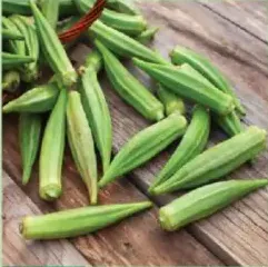 Okra