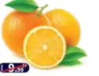 Naval Sory Orange